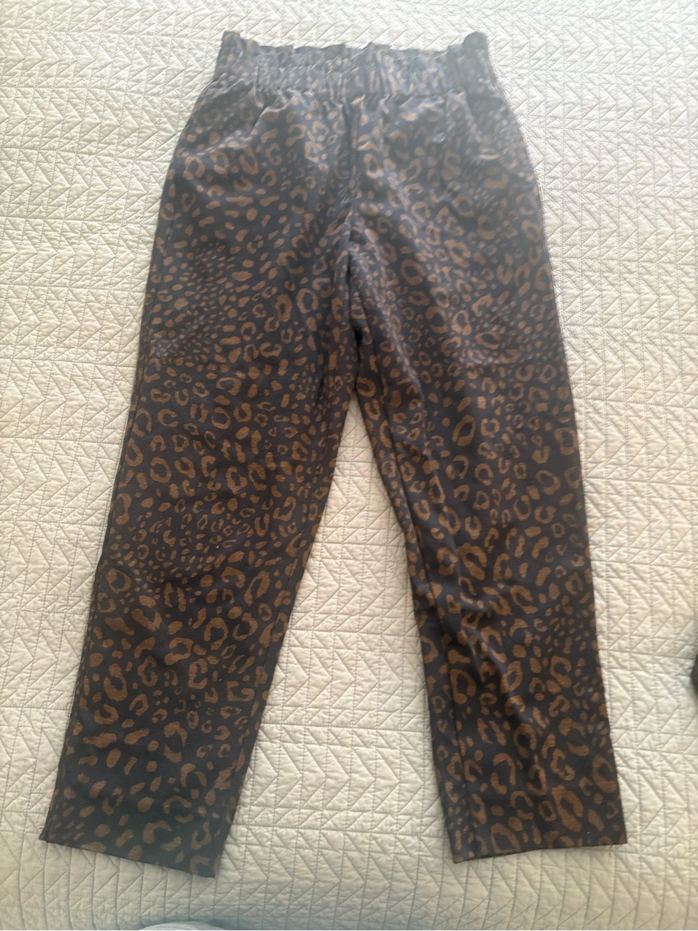 Ann Taylor Animal Print Trousers